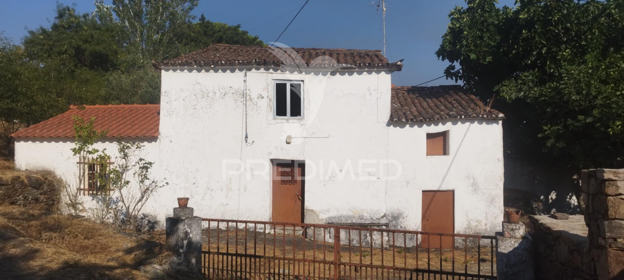 Quinta T3