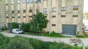 xh0fqh906vezdqdvfy0zmg.jpg