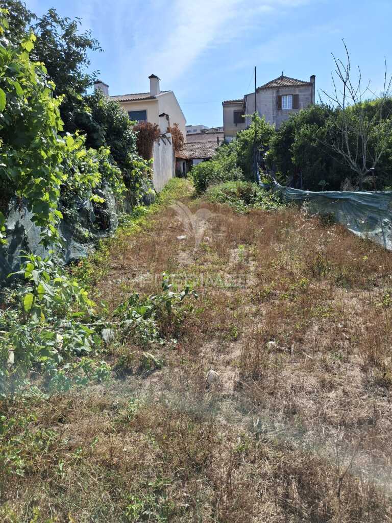 Casa Térrea T2