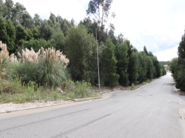 pgdpr3lp1to2hyrijaq5g.jpg