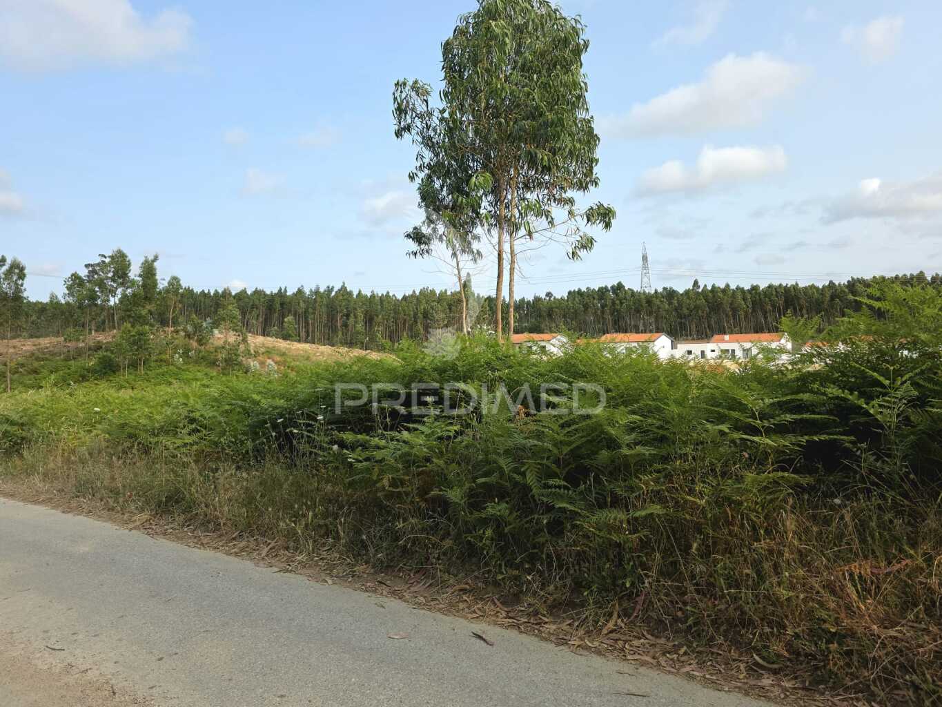 Terreno