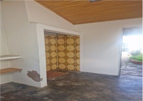 nt119f7pjse7su1ll2hnb.jpg