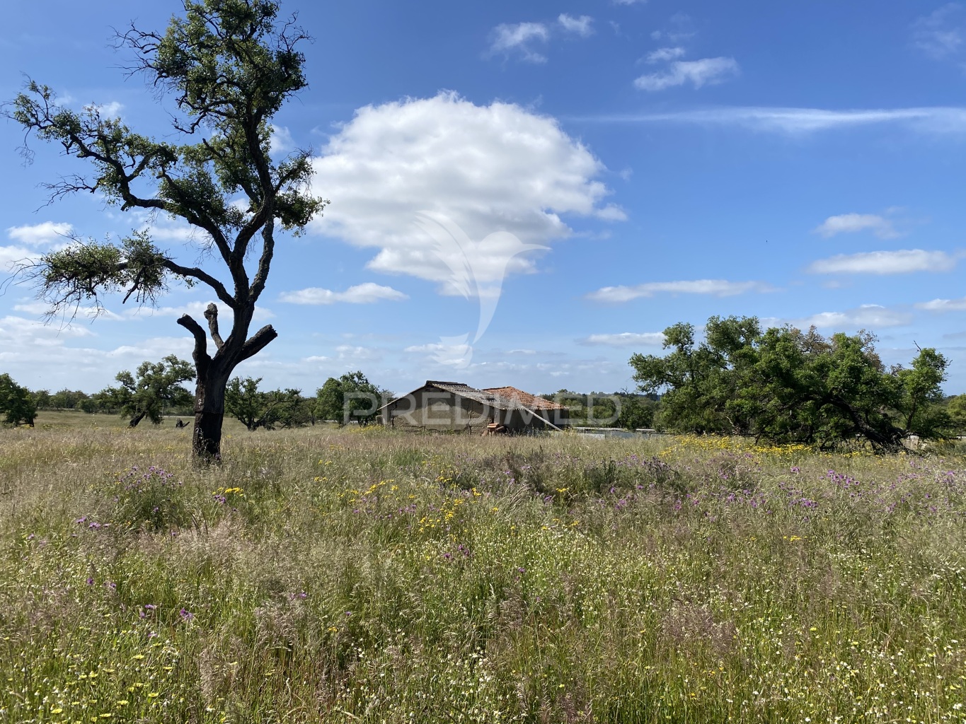 Herdade T1