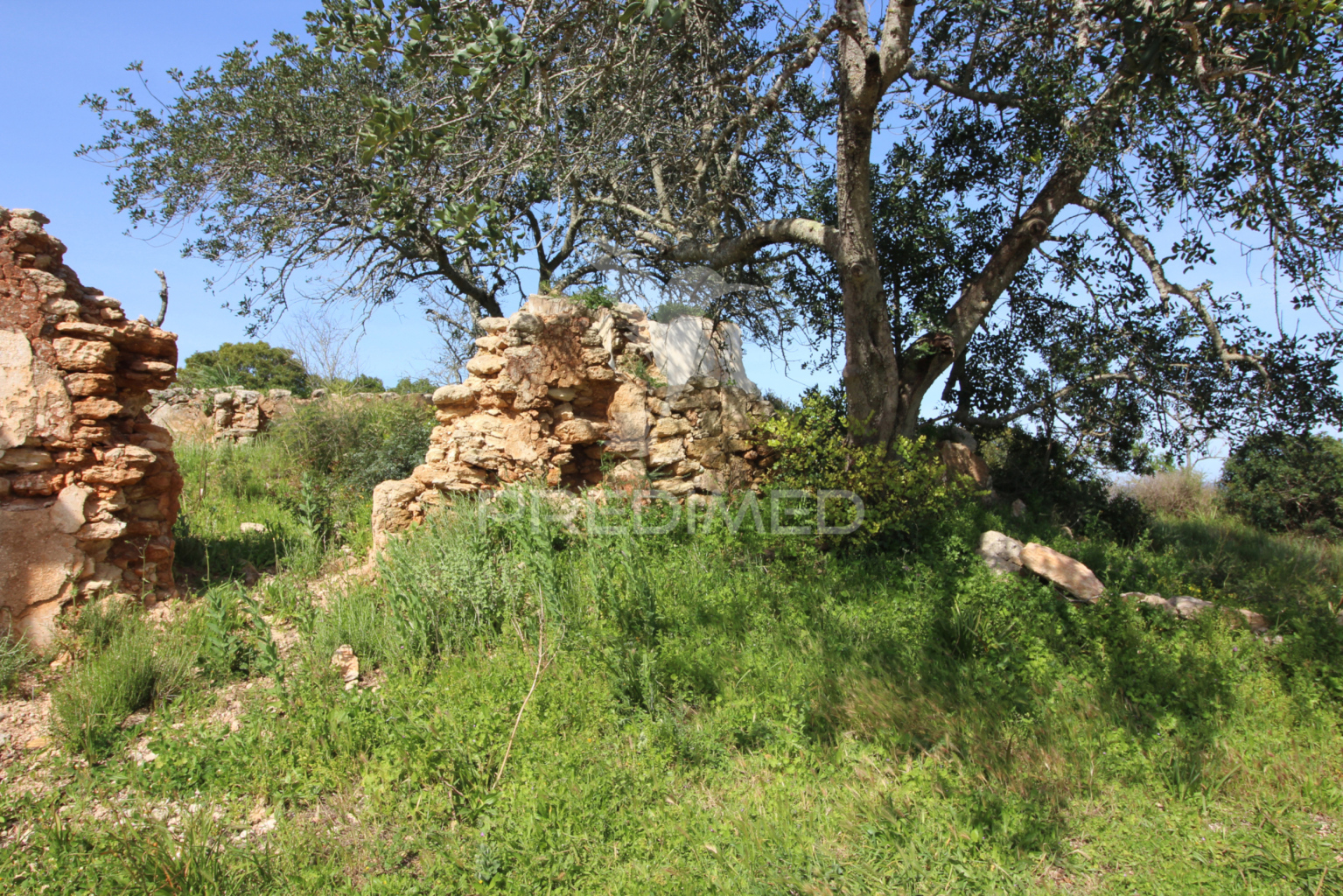Terreno Misto