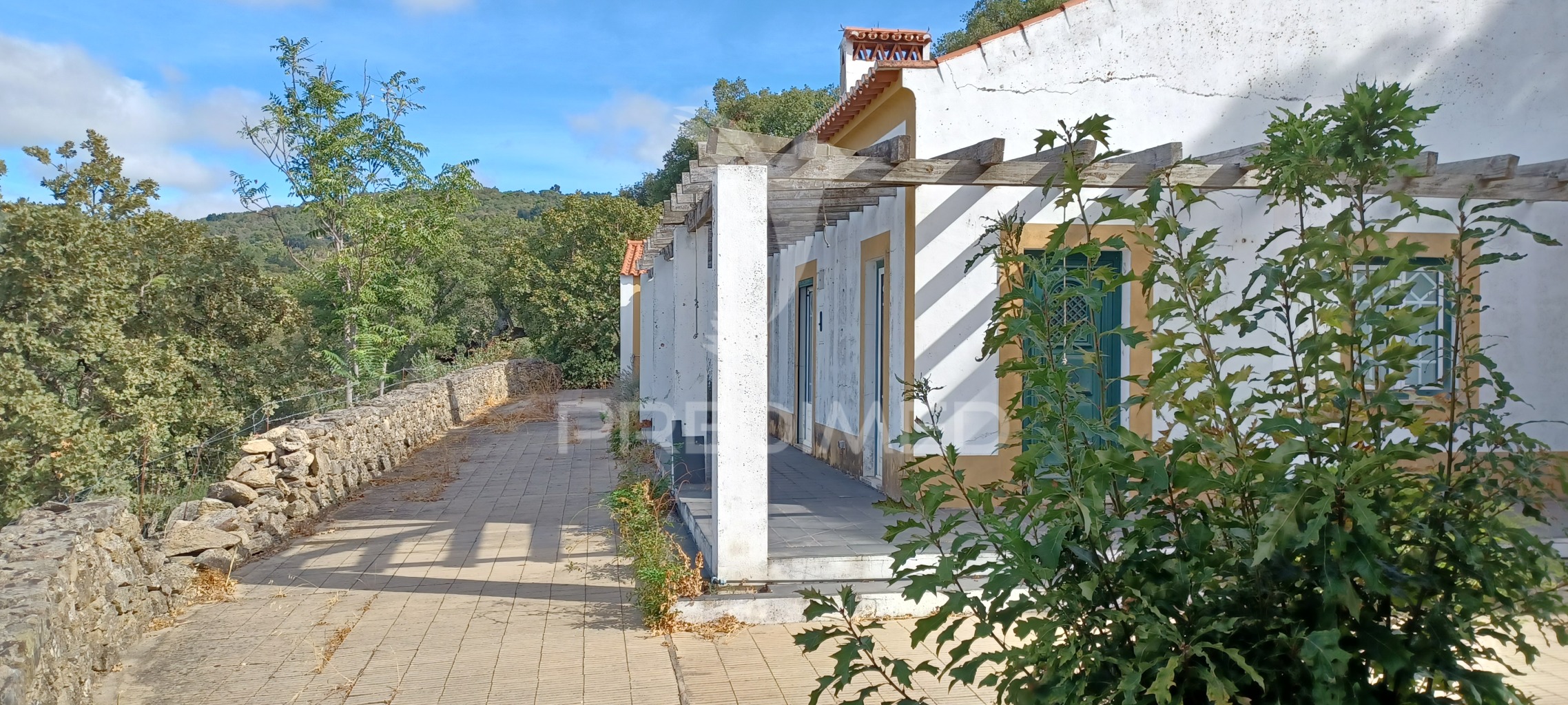 Quinta