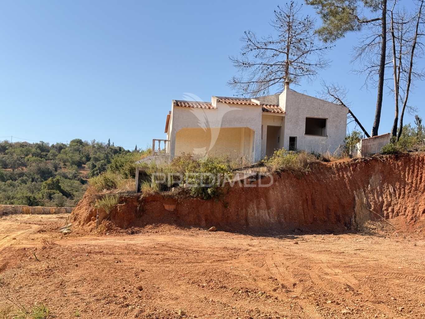 Terreno