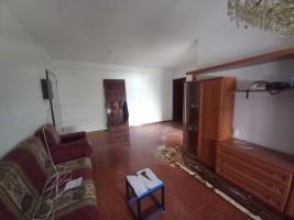xajqw5uorpiijaxu1m1rf.jpg