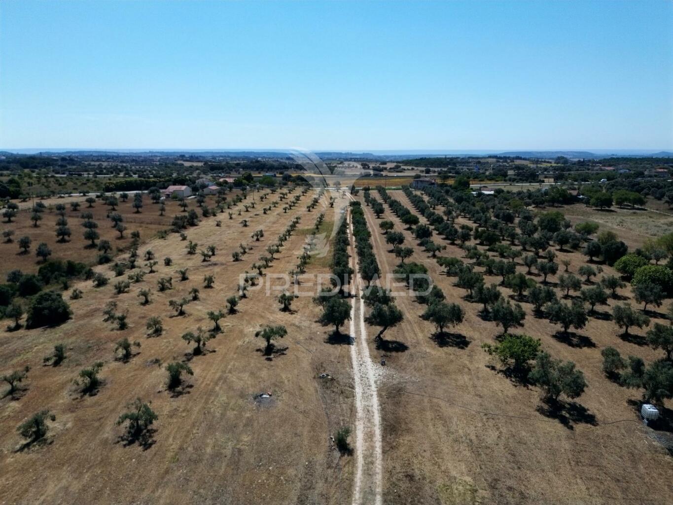 Quinta Rural