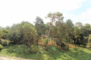 3nu32cz9k37gk41anasnfc.jpg