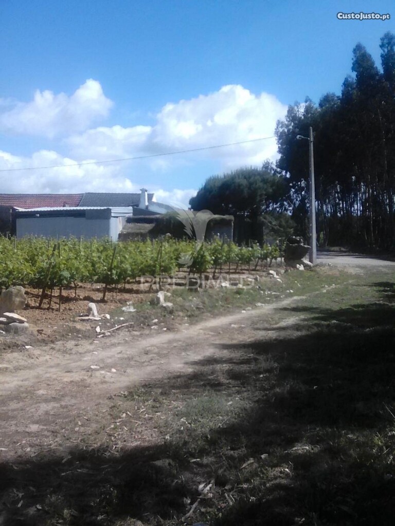 Terreno Rústico