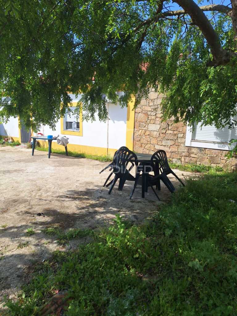 Quinta T3