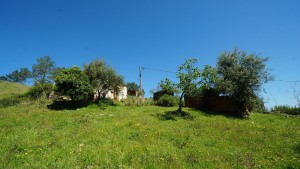 oyi7kz93jzboxl8p4403sm.jpg
