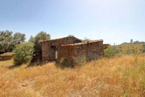 4sd0ft3koo750v7disgj8h.jpg