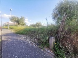 lfx9przpbxp968pr1lhhun.jpg
