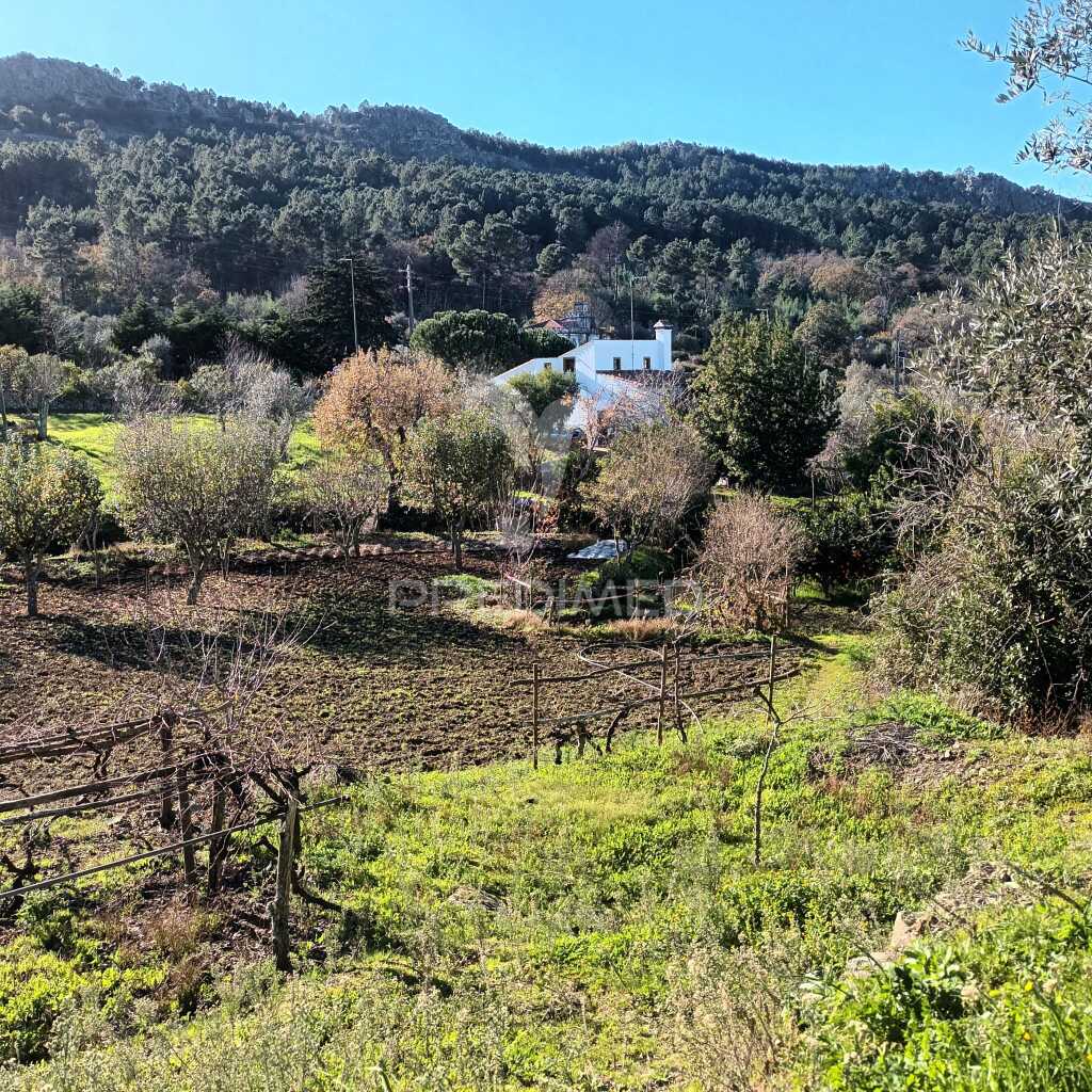 Quinta Rural T3