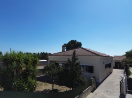 d84q51v6taiffroe1dmo77.jpg