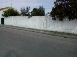 alq548jd19n7mksj9jh0h.jpg