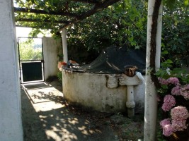 j2ojwpp8goa6zh791sxv9i.jpg