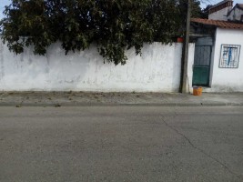 qip6dnz7hla30jwc88nse.jpg