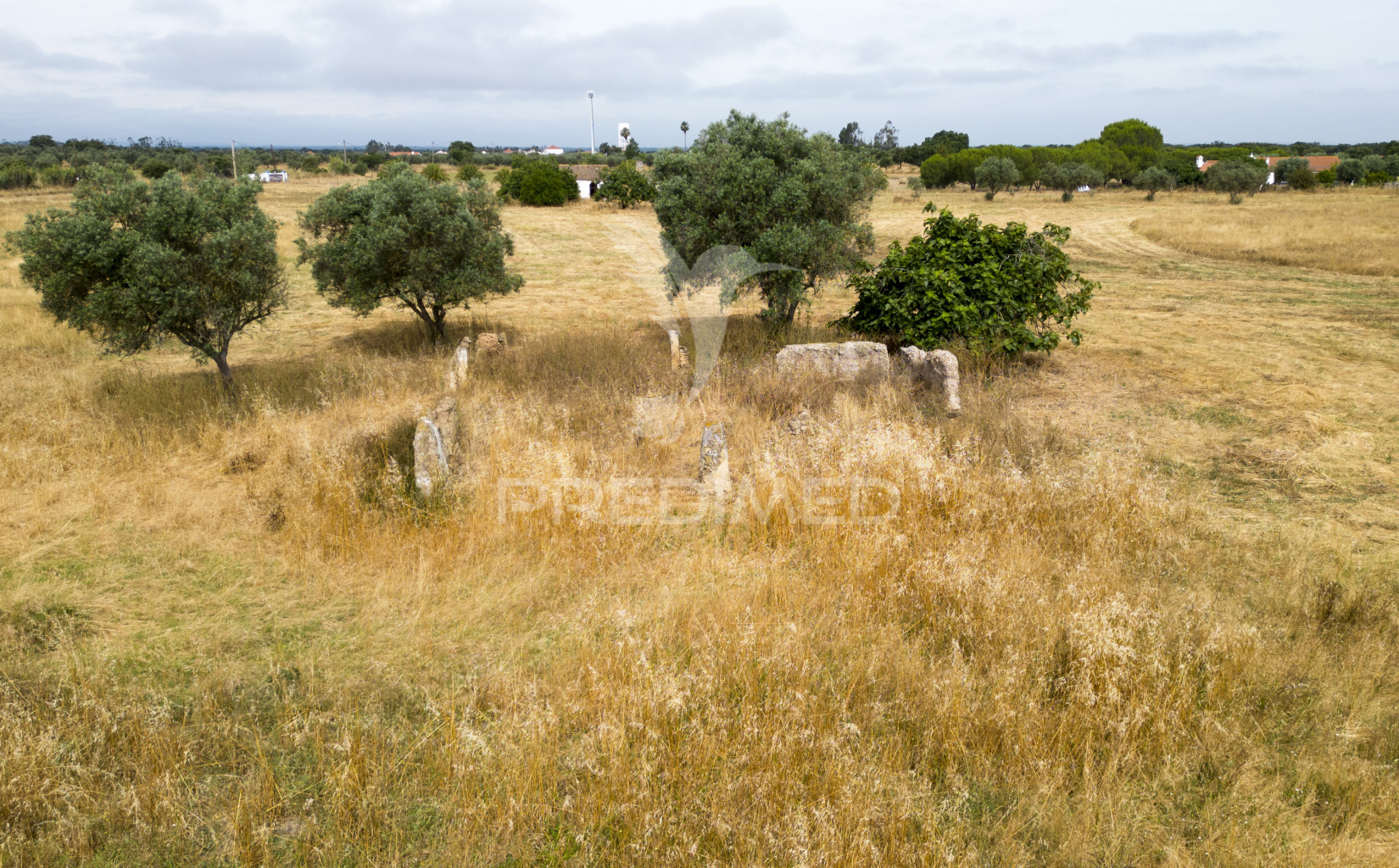 Quinta T1