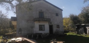 ud31047uh8ptwbm341s6k.jpg