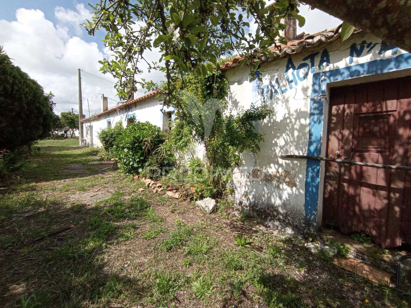 Quinta T3