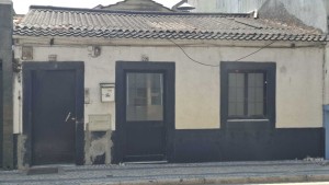 6m2e6jm54vos8b3fu3mume.jpg