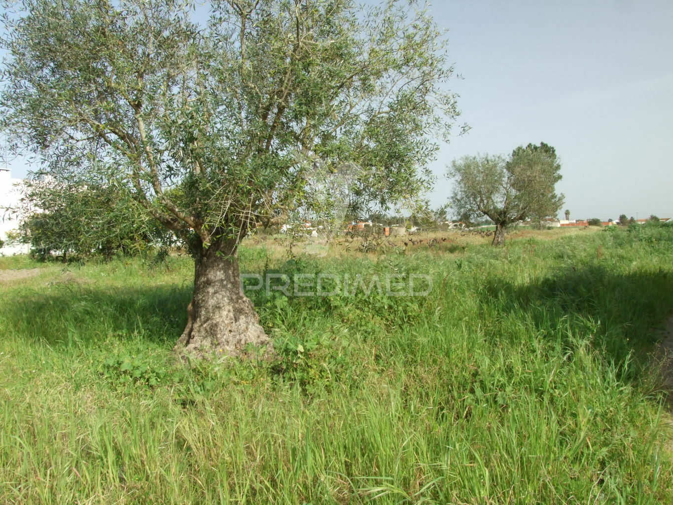 Terreno Urbano