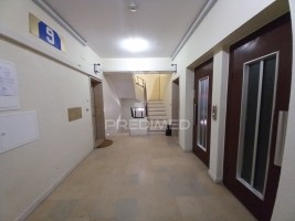 ow5387a3xve82xydwxlj2j.jpg