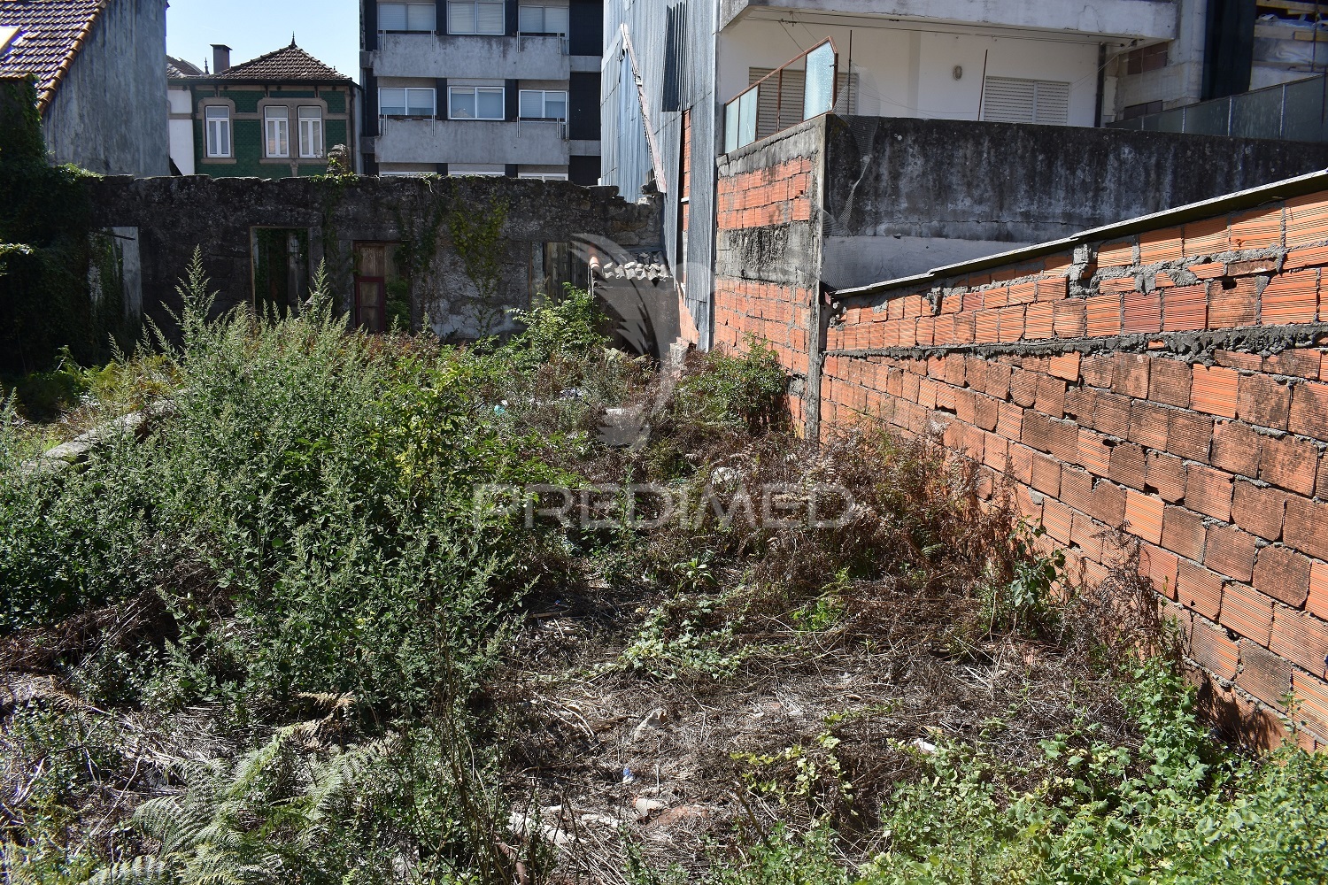 Terreno