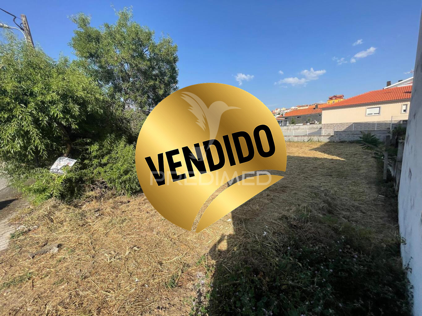 Terreno