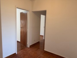 3wy3z66a3x5frw9ombu6f.jpg