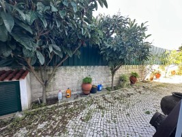 p8fpuop95ll3j6hcyar7x6.jpg