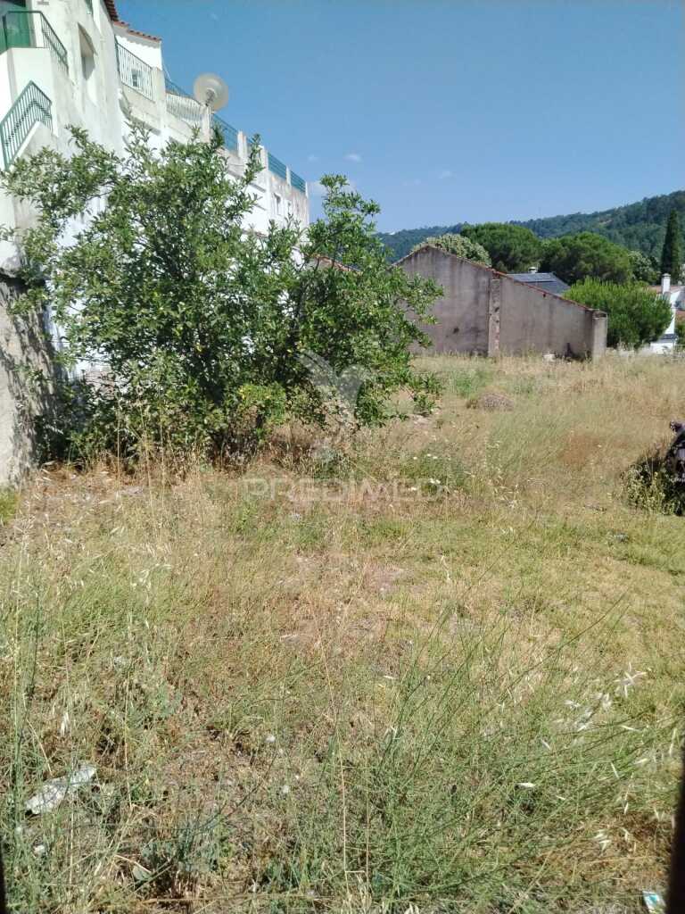 Lote