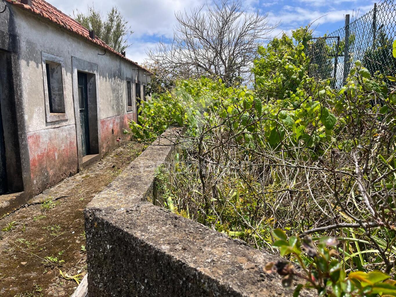 Casa Antiga T3