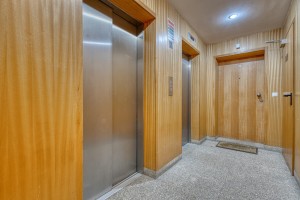 5hku6x8wb4p60fohpzngbl.jpg