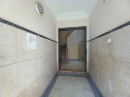 483xu3tdolb3a480gpsxt7.jpg