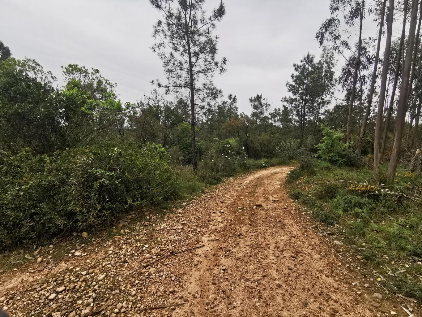 ncrig948u5pe7rju8xkolq.jpg