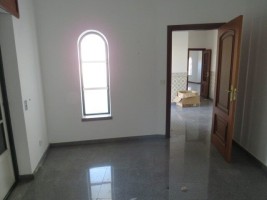 wt603dda0mln5gq0j1npl.jpg