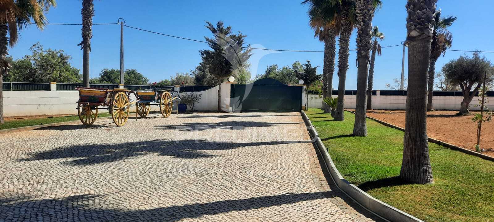 Quinta T5