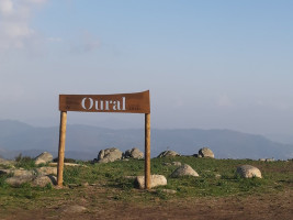 70mslwro42ojudq14qjlvl.jpg