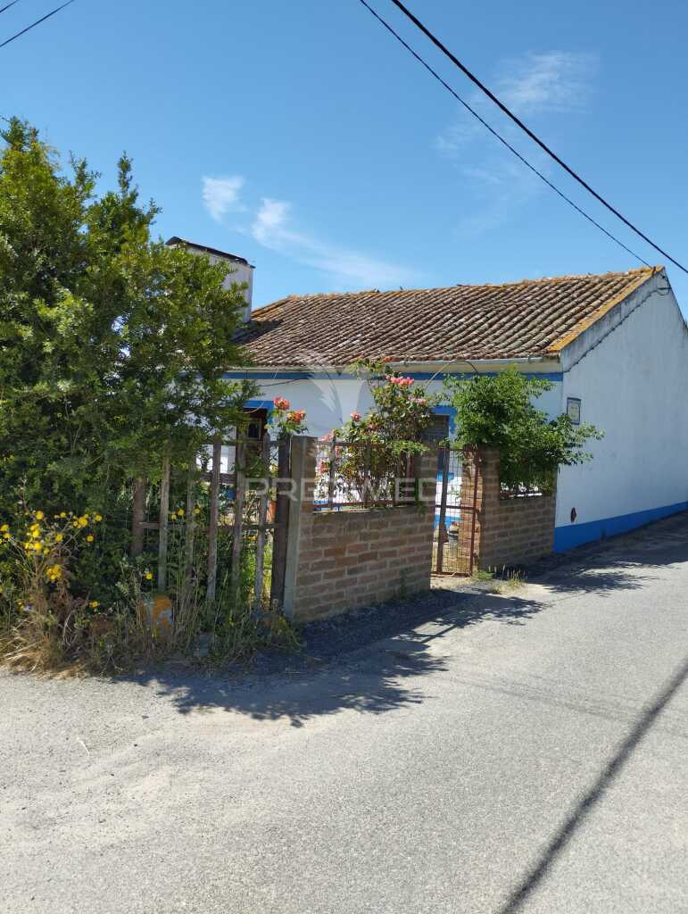 Quinta T2
