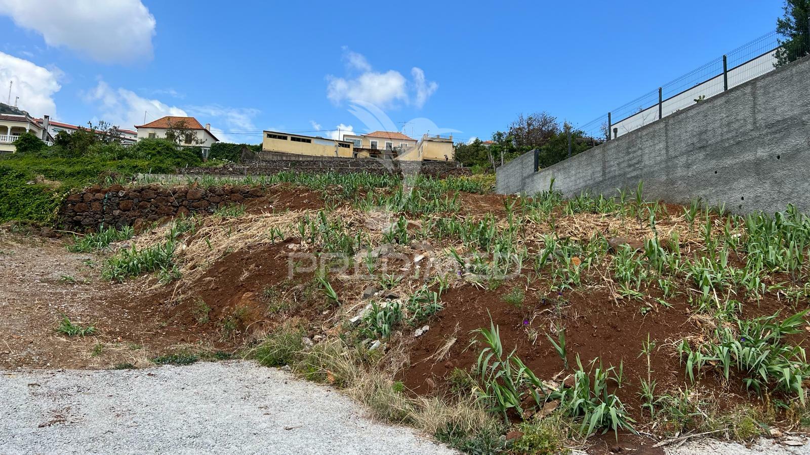 Terreno Urbano