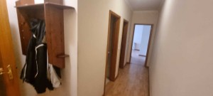gxto4o9lg65dz07wqu4z9.jpg