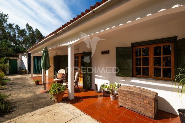 Casa de Campo T1 + 1