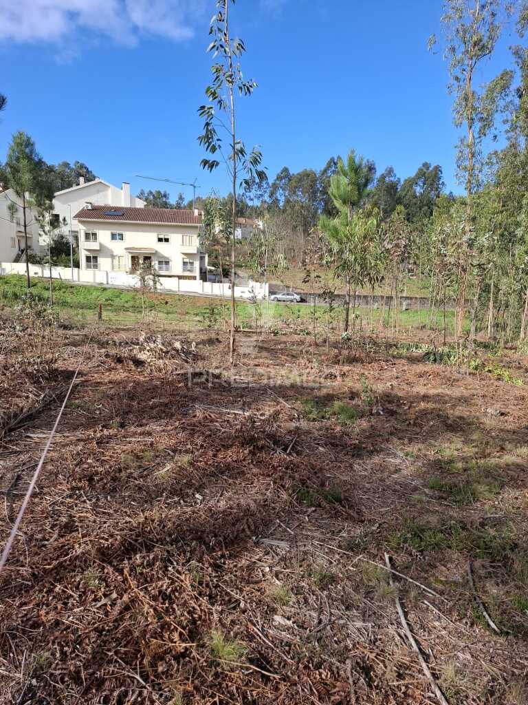 Terreno Urbano