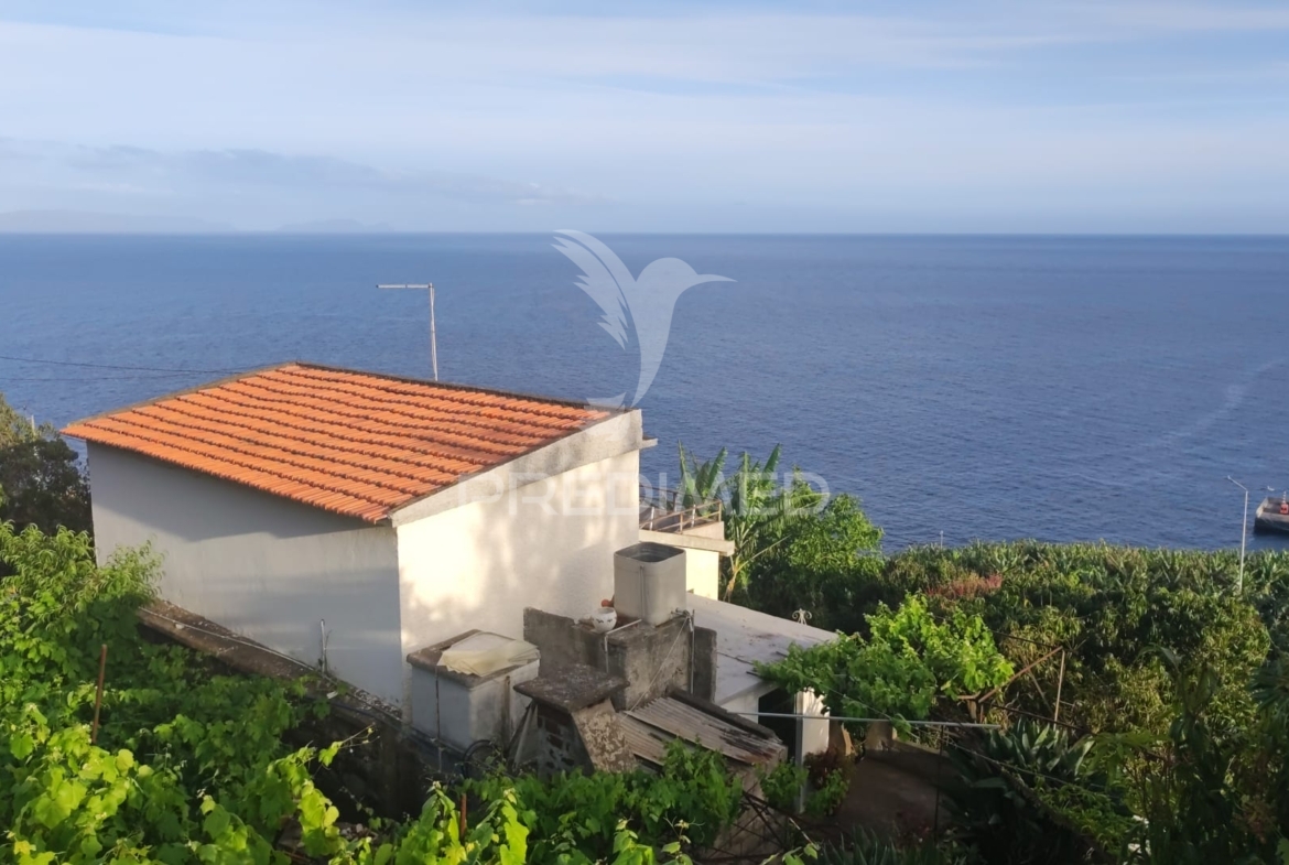 Moradia Isolada T3 + 1