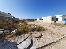 atn0aeiflzlbzdmmrda849.jpg