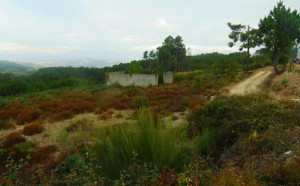 90ttz0wjb9746iguunoiwe.jpg