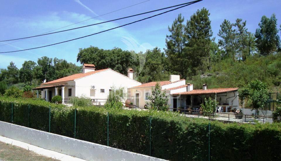 Quinta T2